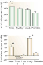 Figure 3 : Comparison of intercordal and intratracheal pressure during straining, swallowing, coughing, and phonation. Unfortunately we are unable to provide accessible alternative text for this. If you require assistance to access this image, or to obtain a text description, please contact npg@nature.com