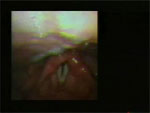 Video 3 - Unfortunately we are unable to provide accessible alternative text for this. If you require assistance to access this image, or to obtain a text description, please contact npg@nature.com