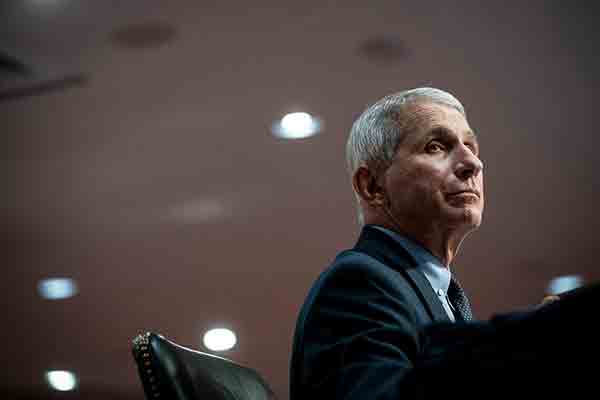Anthony Fauci listens during a Senate Committee hearing.