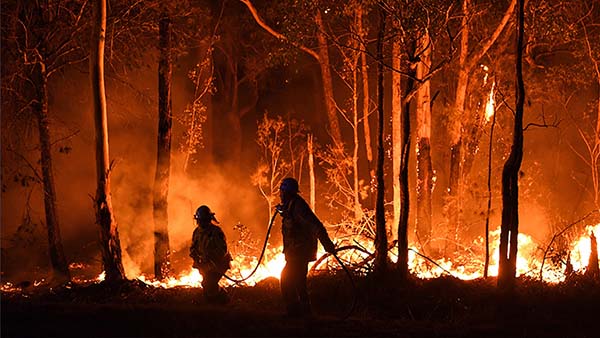 Silhouettes of firefighters working to put out a wild fire at night
