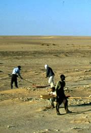 Finding hominids in the Sahara was a bit of a long shot.