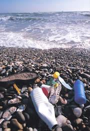 Plastic waste in the sea ends up as microscopic particles.