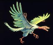 Archaeopteryx: now officially the world's most primitive bird.