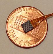 The tiny sensor consists of an array of 100 electrodes to capture signals from the brain.