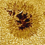 Sunspots are slightly cooler and less luminous than the rest of the Sun.