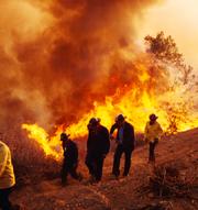 The 2003 heat wave triggered thousands of extra deaths, as well as forest fires that caused billions of dollars worth of damage.