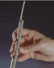 The flute has been reconstructed from 31 ivory fragments.