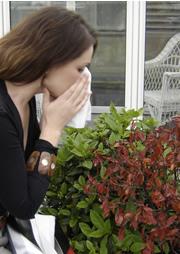 Sniffles be gone: self-hypnotism may provide a partial cure to hay fever.
