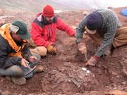 The crew picks over rocks and bones despite the dismal weather.