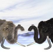 Mammoth hair samples recovered from permafrost have helped artists to pick a colour for their coats.