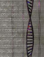 Genetic information from 36 people around the world has mapped out a new chart of the genome.