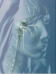 Cluster headaches cause excruciating pain around the eyes.