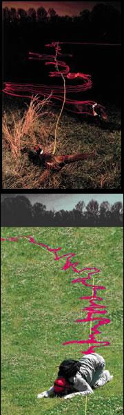 A dog tracks a pheasant (top) in much the same way that a volunteer student tracks some chocolate (bottom).