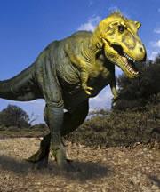 Tyrannosaurus rex may have had the genetic 'lightness' to permit flight, long before their descendents took to the skies.