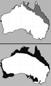 The present extent of cane toads (top) and where the climate suits them (bottom).