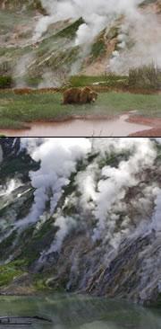 Wildlife in the Valley of Geysers (top) may be threatened by the rubble that has caused flooding (below).