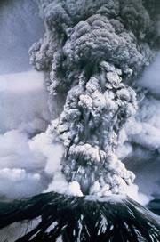 Massive eruptions make it tough for life living under the ash cloud.