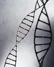 Differences in DNA influence multiple sclerosis risk.