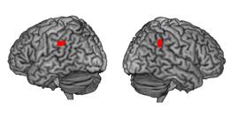 Brain regions responsible for spirituality