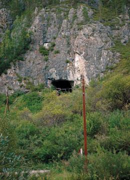 A finger bone found in Denisova Cave in Siberia could add a branch  to the human family tree.