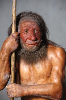 Reconstructed neandertal image