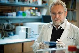 Gil Mor is testing whether a panel of six proteins can detect ovarian cancer in women at high risk.