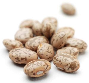 Pinto beans, a Brazilian staple, could soon be resistant to the devastating golden mosaic virus.