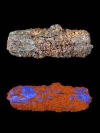 The Gerzeh bead (top) has nickel-rich areas, coloured blue on a virtual model (bottom), that indicate a meteoritic origin. OPEN UNIV./UNIV. MANCHESTER