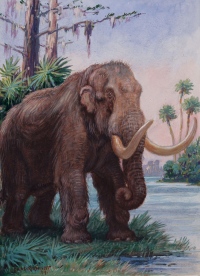 Fossils of mastodons and mammoths found at a site in Colorado may have come from animals that became trapped in ‘quicksand’ during an earthquake.