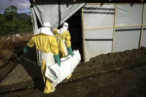 photo of Largest ever Ebola outbreak is not a global threat image