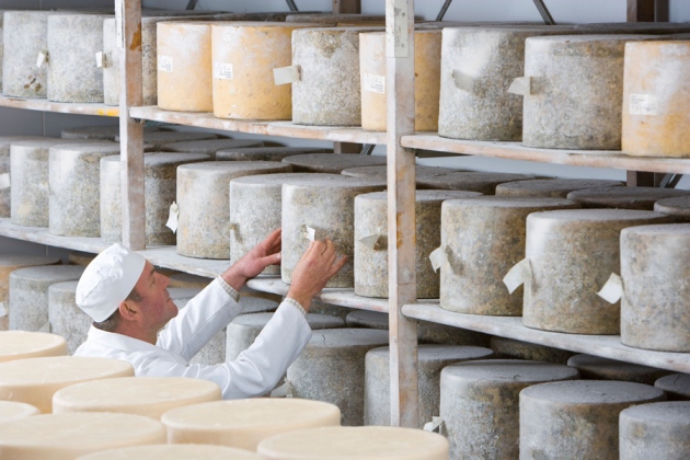 photo of Scientists and cheesemakers gather for (microbial) culture image