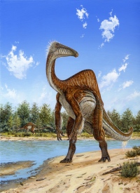 photo of Fossils reveal 'beer-bellied' dinosaur image