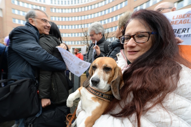 photo of Italian court convicts lab-dog breeders image