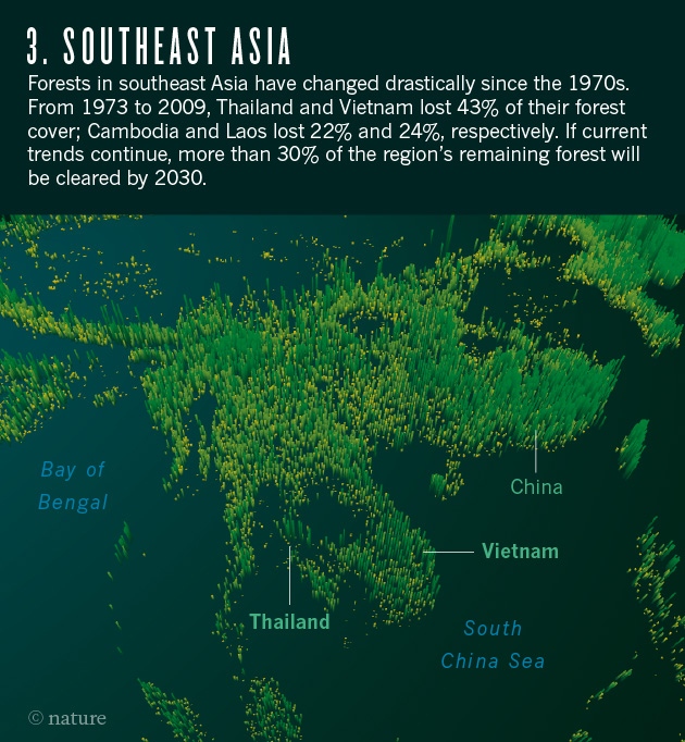 Declining forest area in South East Asia. Photo credit: Nature.com