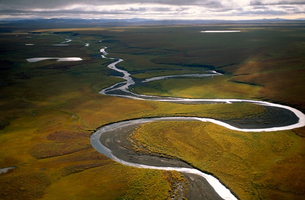 photo of Arctic river flood plains are home to hidden carbon image