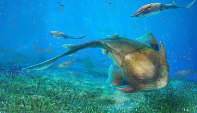 photo of Fish fossil upends scientists’ view of jaw evolution image