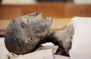 Egyptian mummies yield genetic secrets 1.12793