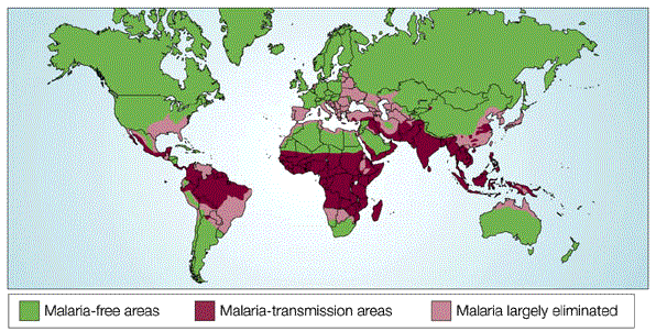 Regions on a world map are shaded different colors to represent malaria transmission density. Green regions are malaria-free areas. Pink regions represent areas where malaria has been largely eliminated. Maroon regions represent active malaria-transmission areas. Most of the map is shaded green, including Russia, Mongolia, and most of North America, Western Europe, the southern third of South America, large parts of northern Africa, excluding the coast, most of South Africa, Arctic regions, and Australia. Malaria has been largely eliminated in the southeastern United States, Spain, Eastern Europe, Iran, Turkey, northern Australia, parts of Brazil and Venezuela, and the southeastern region of China. Malaria transmission is occurring in some areas of Central America, Brazil, Argentina, and Peru, and is prolific in Colombia, India, Pakistan, Afghanistan, Iraq, Yemen, Oman, Bangladesh, Southeast Asia, and much of the African continent south of Algeria, Libya, and Egypt, and north of Namibia and Botswana (including the island of Madagascar).