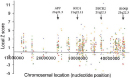 This graph plots the expression levels of trisomy 21 sample genes, represented as Z scores, versus chromosomal location in nucleotide position on chromosome 21. Chromosomal location is plotted on the X-axis, and local Z scores are plotted on the Y-axis. There are many colored points on the graph. Each point represents the expression level of a gene in a trisomy 21 sample. The majority of points have positive Z scores, indicating increased gene expression levels in the trisomy 21 samples compared to the controls.