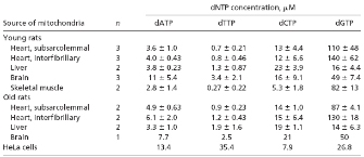 This table lists the estimated mitochondrial dNTP concentrations in various tissues from young and old rats and from HeLa cells. The first column lists the source of the mitochondria, the second column lists the number of animals analyzed, and the third through sixth columns provide the micromolar concentrations of dATP, dTTP, dCTP, and dGTP, respectively. The dGTP levels were very high in mitochondria from old and young rat hearts.