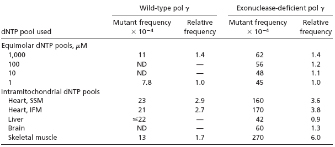 This table shows the lac Z mutant frequencies when using purified wild-type human pol G or exonuclease-deficient pol G with various concentrations of equimolar DNTP pools or intramitochondrial DNTP pools.