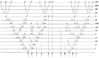 Phylogenetic trees from eleven root lineages are shown against a white background with parallel, black, horizontal lines. The horizontal lines represent time and are labeled with roman numerals at right, increasing from the bottom of the diagram to the top over 14 generations. The root lineages are labeled A through L. Two diverging lineages originate at roots A and I. The branches of these lineages diverge into smaller branches with each successive generation. Several nodes and terminals along these branches are labeled with lowercase letters. The other root lineages, B through H and K through L, do not diverge, and all but lineage F become extinct.