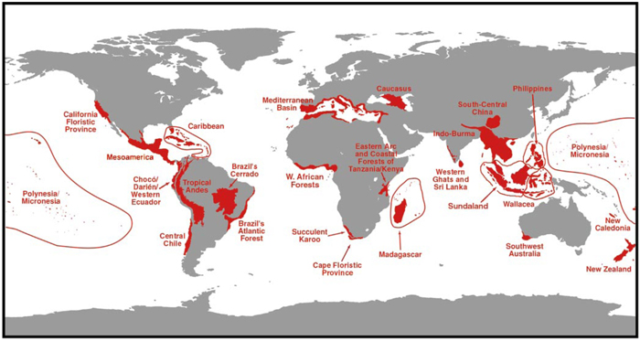 Regions on a grey world map are shaded in red to represent areas of biodiversity. Red areas include: the California Floristic Province on the west coast of North America; all of Mesoamerica; the Caribbean; Choco Darien/Western Ecuador, Tropical Andes, Central Chile, Brazil's Cerrado, and Brazil's Atlanic Forest (South America); the Mediterranean Basin; the West African forests, Succulent Karoo, Cape Floristic Province, island of Madagascar, and the Eastern Arc and Coastal Forests of Tanzania and Kenya (Africa); the Caucasus; Indo-Burma, the Western Ghats and Sri Lanka, South-Central China, the Philippines, Wallacea, Sundaland, Polynesia/Micronesia, New Caledonia, Southwest Australia, and New Zealand.