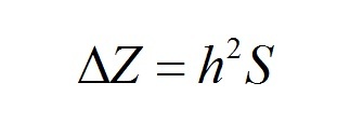 Kelly equation