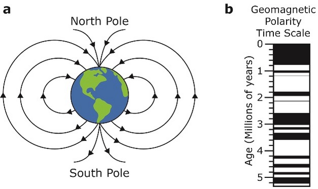 The earth’s magnetic field can be measured to determine the polarity of a rock sample.