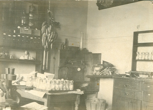 A photograph shows a corner of Thomas Hunt Morgan’s fruit fly laboratory. There are bunches of bananas hanging from a rope above a table of fruit fly-containing flasks. A light microscope is seen sitting on a table on the far left side of the photograph. The wall on the left side behind the table with the fruit flies has one shelf with some black boxes with white labels, and the shelves above and below it are holding containers of various sizes and shapes. The wall on the right side has a laboratory bench with drawers below and shelves above that also appear to be holding fruit fly-containing flasks.