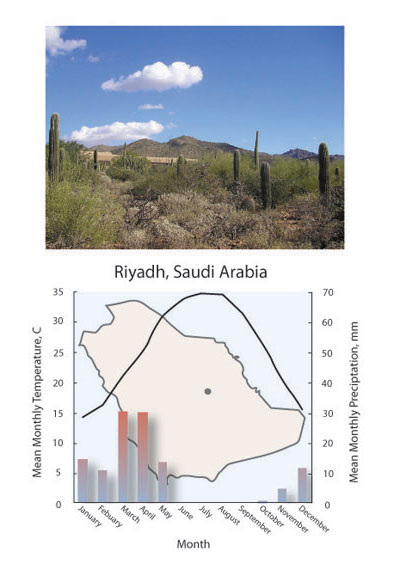 Desert biome climate diagram