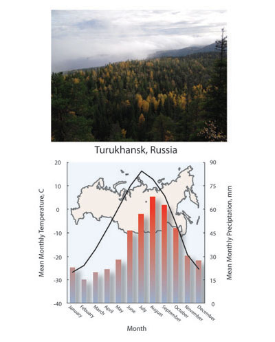 Boreal forest biome climate diagram