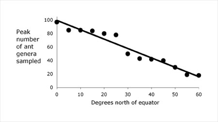 The latitudinal gradient in richness in ants