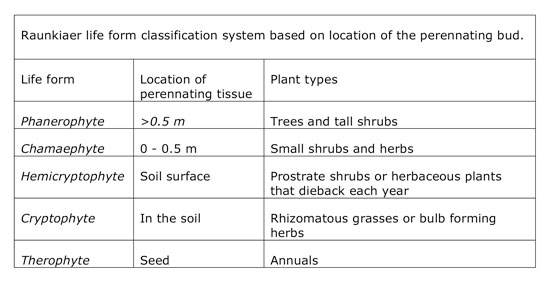 Raunkiaer life form classification system based on location of the perennating bud